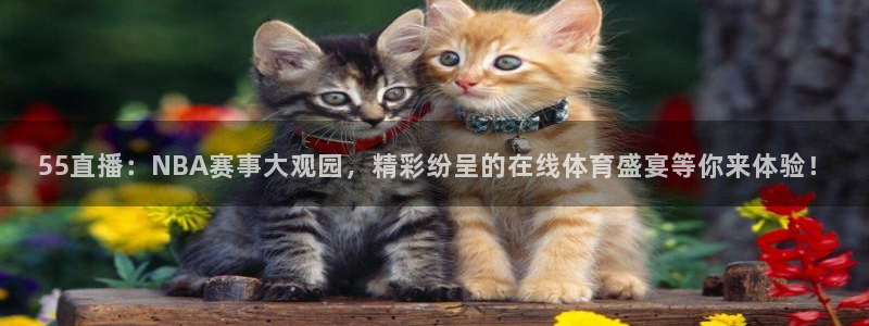 55直播：NBA赛事大观园，精彩纷呈的在线体育盛宴等你来体验！