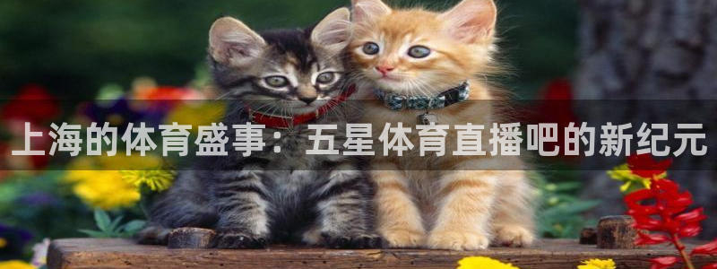 上海的体育盛事：五星体育直播吧的新纪元
