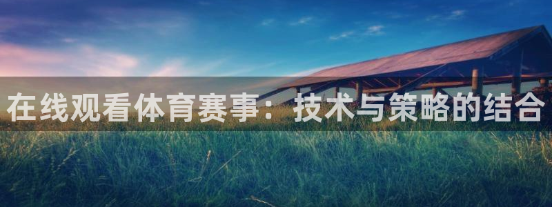 在线观看体育赛事：技术与策略的结合