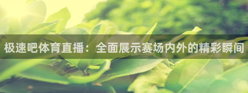 极速吧体育直播：全面展示赛场内外的精彩瞬间
